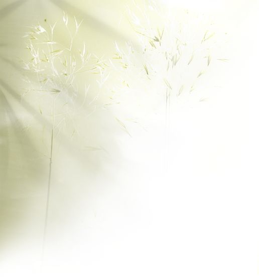 Cummings Grayson and Co.